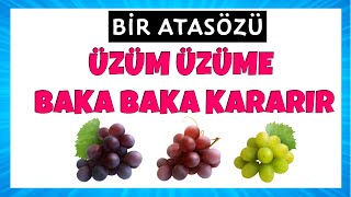 ÜZÜM ÜZÜME BAKA BAKA KARARIR [upl. by Hester]