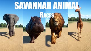 Savannah Animal Races in Planet Zoo included Lion African elephant Giraffe cheetah [upl. by Reteid399]