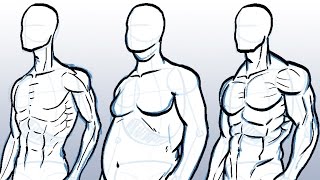 How to Draw Different Body Types [upl. by Naloj]