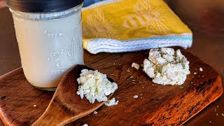 Making Kefir Yogurt amp Kefir Cheese at Home  Fermented Food of Many Uses [upl. by Licec684]