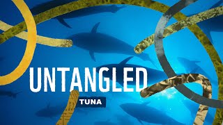 Untangled How safeguarding the future of tuna secures our own [upl. by Hametaf]