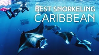 BEST SNORKELING Locations in the Caribbean [upl. by Egroej]