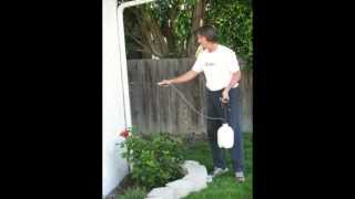 How To Fog Coat Exterior Stucco Walls  DoItYourself Advice [upl. by Assirem734]