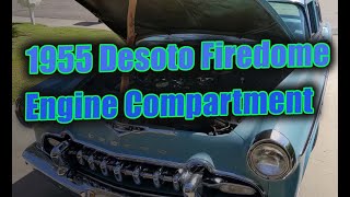 1955 DeSoto Engine Compartment  291 Hemi 😎 [upl. by Ree]