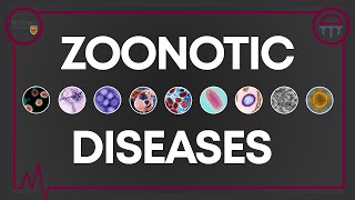 Demystifying Zoonotic Diseases [upl. by Yrennalf]