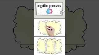 Whats the Importance of Cognitive Processes [upl. by Erreip]