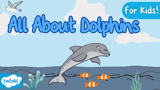 All About Dolphins for Kids  Dolphin Facts 🐬 [upl. by Nappie]