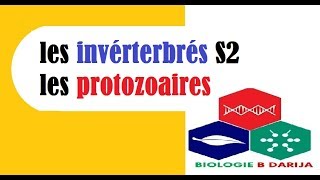 cours biologie animale les invérterbrés S2 partie 1  البيولوجيا بالدارجة [upl. by Leseil305]