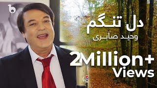 پیپسی ساز و سرود  وحید صابری  دل تنگم  Wahid Saberi  Dil Tangam [upl. by Odnam]