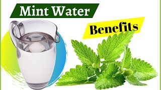 Mint Leaves Water  Drink Every Day To Get 7 Surprising Health Benefits [upl. by Annhoj]