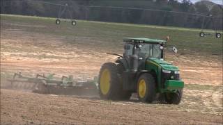 JOHN DEERE 8245R DISKING WITH A JOHN DEERE 637 DISK SCOTT FARMS 2017 PEANUT TILLAGE 2 [upl. by Tteraj]