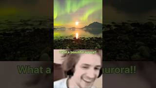 Northern lights  aurora borealis ytshorts shorts viralvideo aurora 🌈🌎 [upl. by Esdras914]