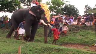 Vela at Mangottu Bhagavathi Temple in Palakkad Kerala [upl. by Issi648]