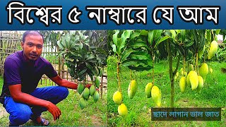 নাম ডক মাই আম বাংলাদেশে কেমন হয়  ডক মাই  ডক মাই আম  Nam Dok Mai [upl. by Ylrahc]