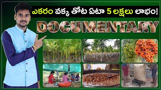 Areca Nut Farming in Telugu  Vakka Sagu  Betel Nut [upl. by Netsyrk]