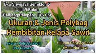 Ukuran dan jenis polybag pembibitan kelapa sawit [upl. by Zaller]