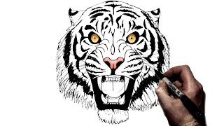 How To Draw a Tiger  Step by Step Sketch Tutorial [upl. by Tabbie]