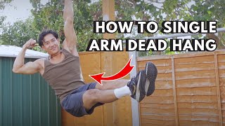 POV The Complete Tutorial on How To Single Arm Dead Hang 4 Drills [upl. by Arnst32]