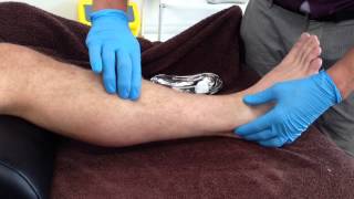 Dry Needling Extensor Digitorum Longus [upl. by Rases]