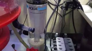 Aquamaxx bio pellets reactor [upl. by Jareen401]