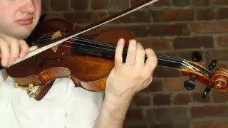 Toxic  Dylan Violin [upl. by Bernie552]