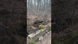 101 YEARS OLD ABANDONED CARRIAGE ROAD BRIDGE  HIKING BIG RIVER MANAGEMENT AREA RI [upl. by Meesak]