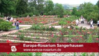 Europa Rosarium Sangerhausen [upl. by Cox]