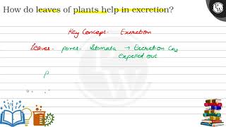 How do leaves of plants help in excretion [upl. by Nath81]