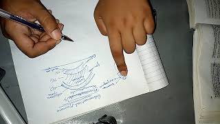 ADRENOCORTICAL GORMONESMineralocorticoids complete explanation ch 78 guyton part 1 [upl. by Nnylaj334]