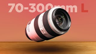 Canon EF 70300mm F456 L Zoom lens Review  Is this lens worth the price [upl. by Bough679]