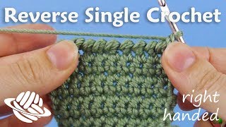 Reverse Single Crochet righthanded version [upl. by Ahtela927]