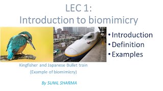 Lec 1  Introduction to Biomimicry WHAT IS BIOMIMICRYLESSONS FROM NATURE [upl. by Lancey]