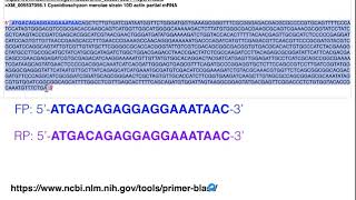 Biotechniques  Principles of Primer Design for Full Gene Amplification [upl. by Idalina]