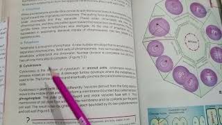 what is the cytokinesis What is phragmoplast How a plant cell divided [upl. by Pietra]