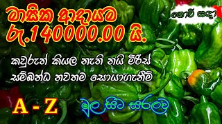 කවුරුත් නොකියපු නයි මිරිස් වගාවේ නව සොයාගැනීම් A  Z Episode 20 govisadha [upl. by Selrac183]