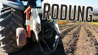 WEINBERG RODEN  RODUNG 2018  Weinbau  New Holland  Vineyard Removal [upl. by Anaimad933]