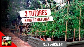 COMO GUIAR TOMATES Y ENTUTORADO  FACIL Y ECONOMICO ft en20metros [upl. by Linzy407]