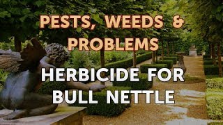 Herbicide for Bull Nettle [upl. by Nnairrek]