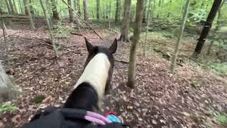 922024 BRIDELESSJennaampDreamer ViviampChloe Trail Riding Compilation [upl. by Greenburg]