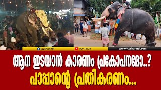 ആന ഇടയാൻ കാരണം പ്രകോപനമോ പാപ്പാന്റെ പ്രതികരണം  Malayalam News  Elephant Attack [upl. by Jonell373]