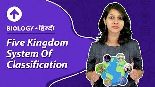 Five Kingdom System Of Classification  Hindi  Biology [upl. by Willdon438]