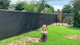 Windscreen4less Privacy Fence Screen Review [upl. by Ellenohs38]