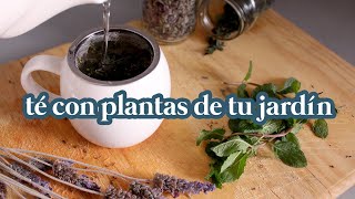 Té de lavanda menta y hierbabuena I Cómo cosechar y secar [upl. by Ayra]