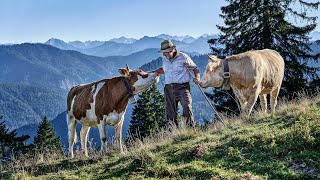 Bergbauern Erleben  Trailer 👨‍🌾 [upl. by Rawde]