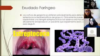 Practica 6 microbiologia Exudado Faringeo [upl. by Kampmeier]