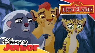 The Lion Guard  Find the Zimwe  Official Disney Channel Africa [upl. by Aicina]