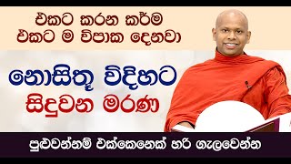 නොසිතූ විදිහට සිදුවන මරණ  Venerable Welimada Saddaseela Thero [upl. by Trix]