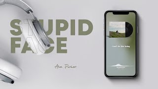 Abe Parker  Stupid Face Lyrics [upl. by Serrano]