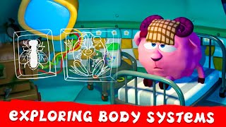 PinCode  Exploring Body Systems 🩻 Best episodes collection  Cartoons for Kids [upl. by Gardell883]