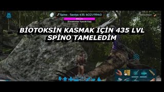 BİOTOXİN FARLAMAK İÇİN 435 LVL SPİNO EĞİTTİM  Ark Mobile Türkçe  Öğretici Brutal  KRAL SPİNO [upl. by Loni]